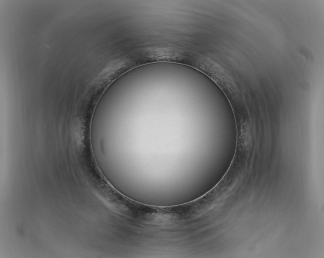 X0000111520255200907141513