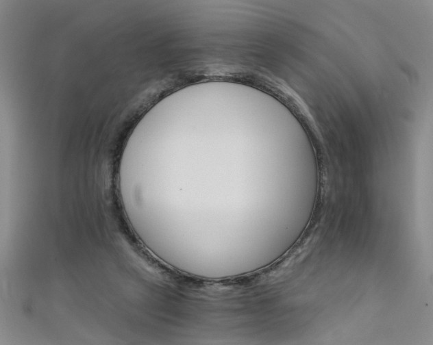 X0000111520257200907141513