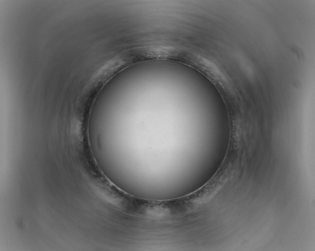X0000111520258200907141514