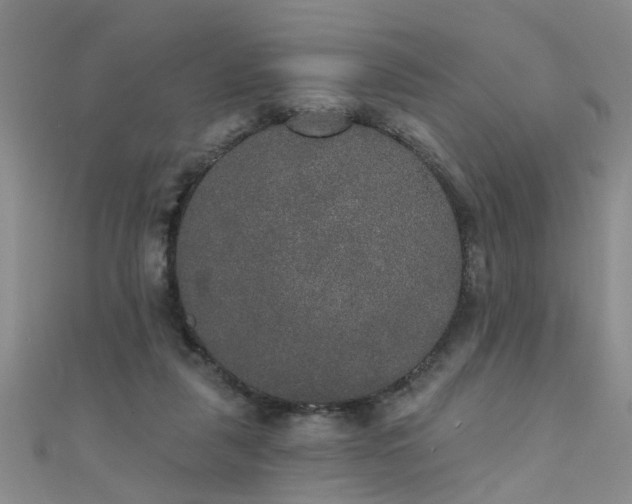X0000111520259200907141514