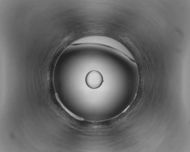 X0000111520260200907141514