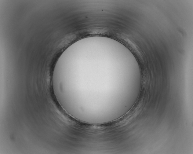 X0000111520261200907141514