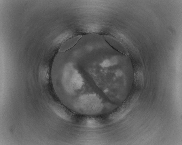X0000111520264200907141514