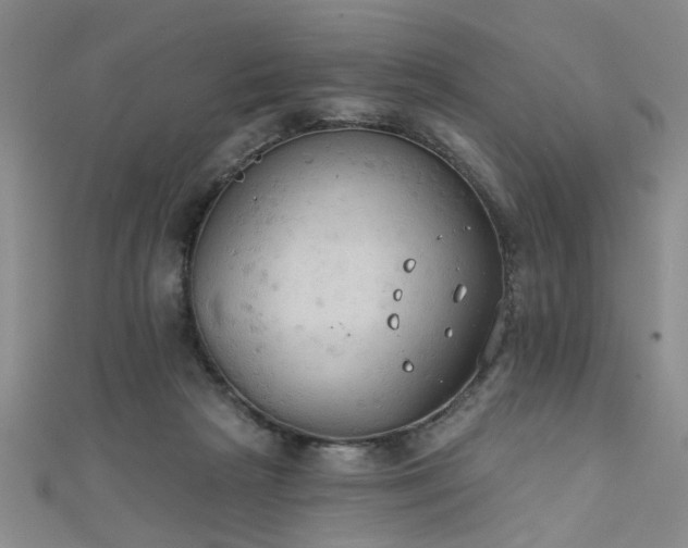 X0000111520265200907141514