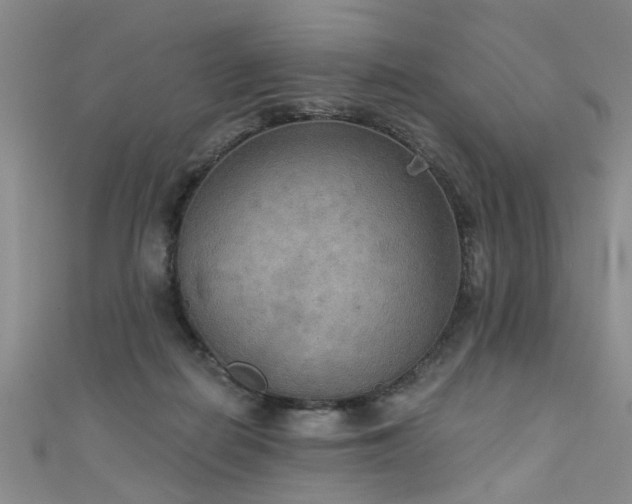 X0000111520266200907141514