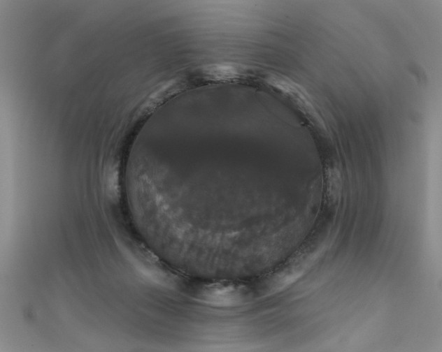 X0000111520267200907141514