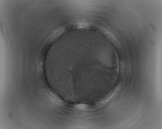X0000111520269200907141514