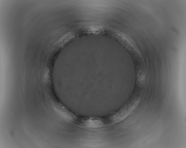 X0000111520270200907141514