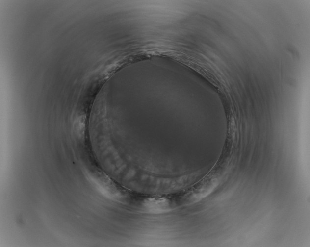 X0000111520271200907141514