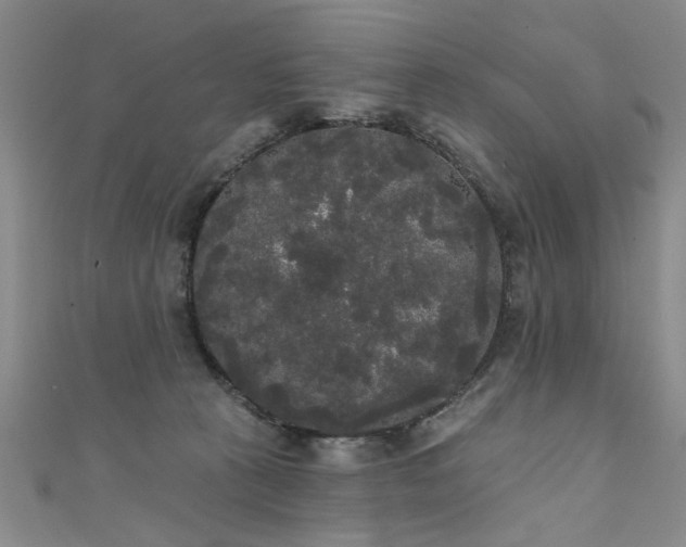 X0000111520273200907141514