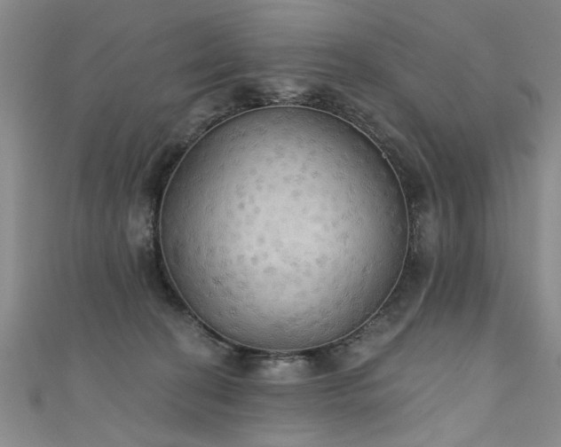 X0000111520274200907141514