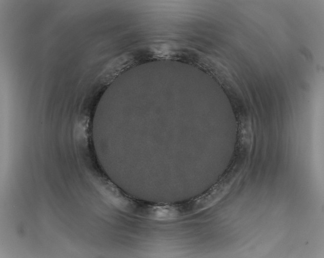 X0000111520275200907141514