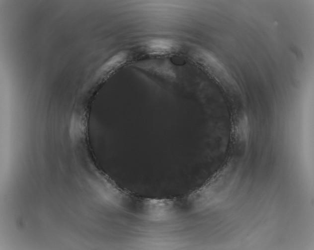 X0000111520277200907141514