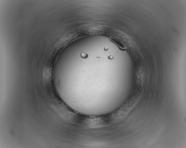 X0000111520278200907141514