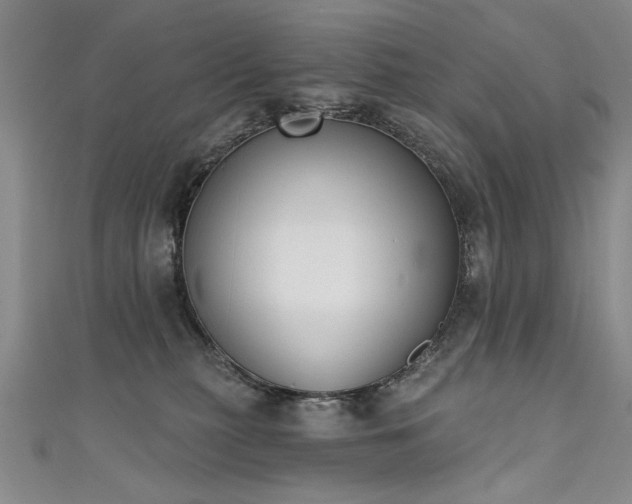 X0000111520279200907141514