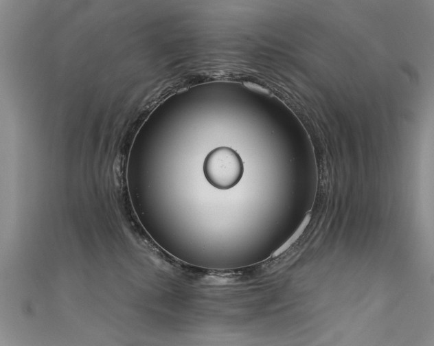 X0000111520280200907141514
