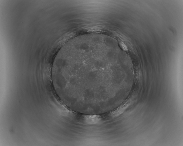 X0000111520281200907141514