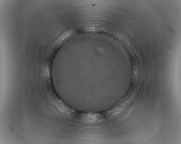 X0000111520282200907141514