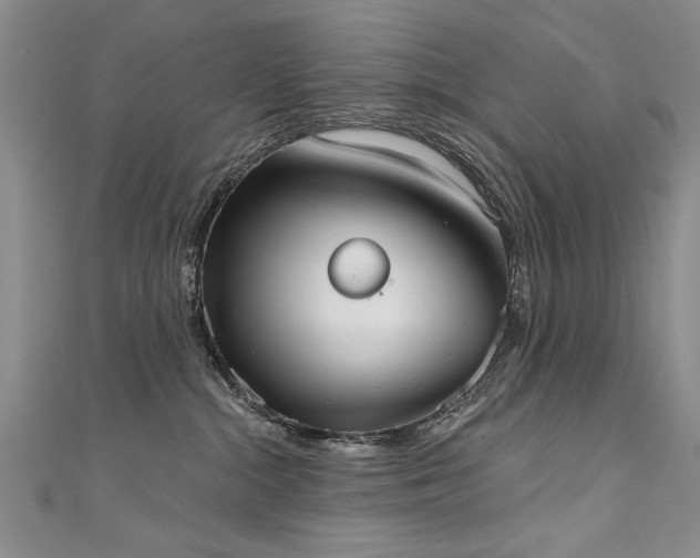 X0000111520284200907141514