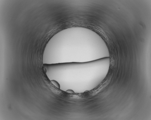 X0000111520285200907141514