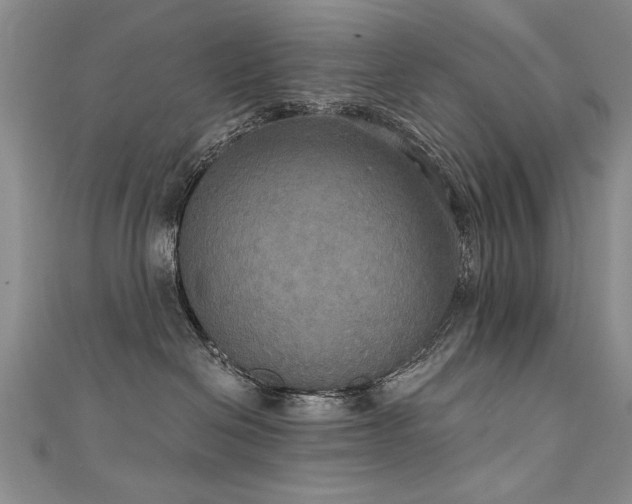 X0000111520286200907141514