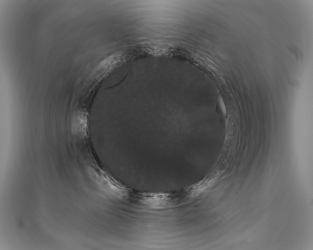 X0000111520288200907141514