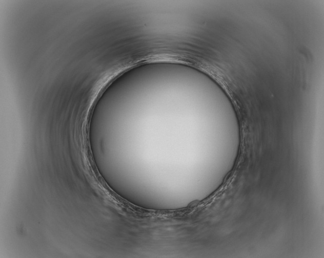 X0000111520289200907141513