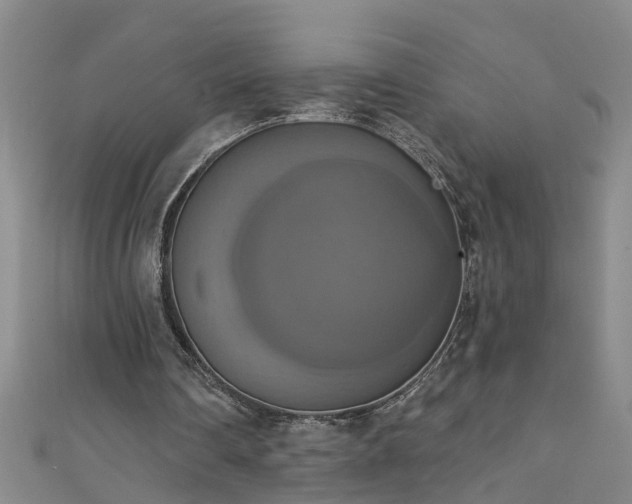 X0000111520290200907141513