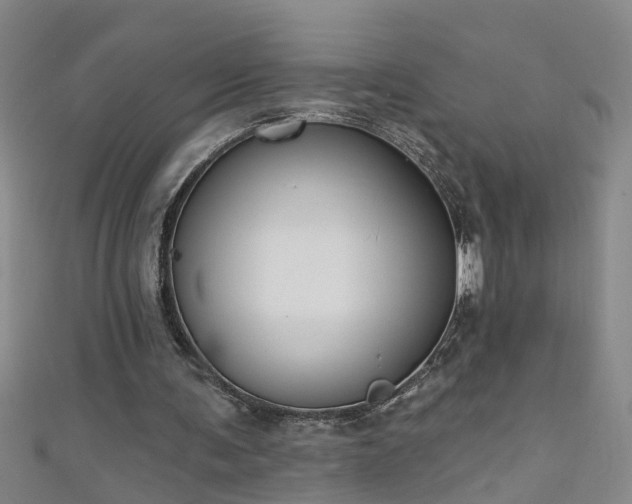 X0000111520291200907141513