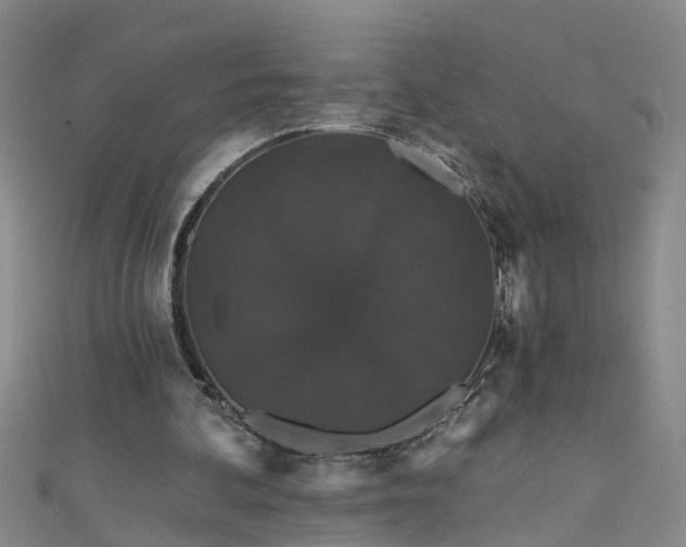 X0000111520292200907141513