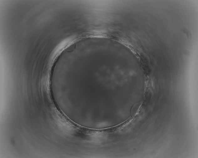 X0000111520293200907141513