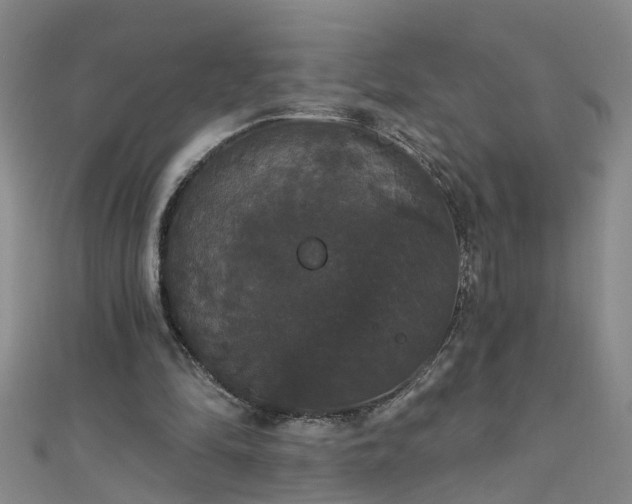 X0000111520294200907141513