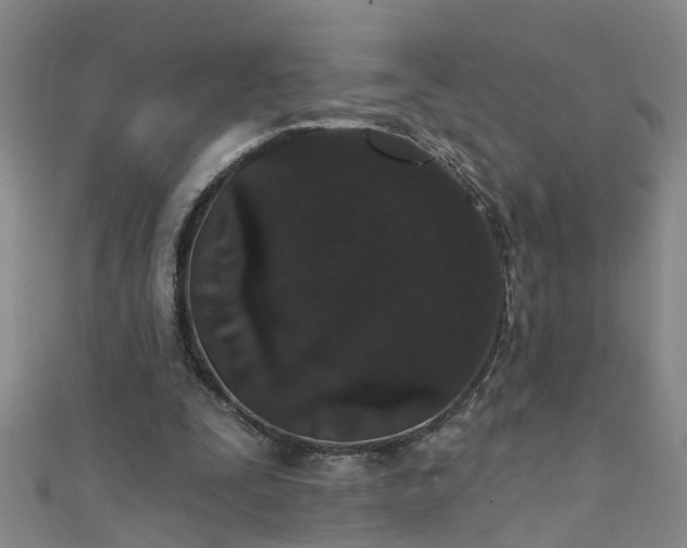 X0000111520295200907141513