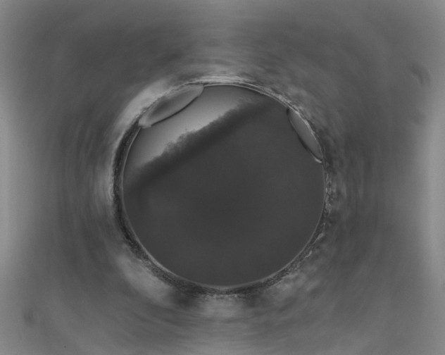 X0000111520296200907141513