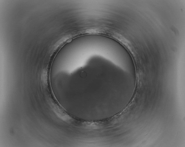 X0000111520297200907141513