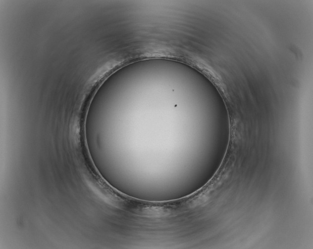 X0000111520298200907141513