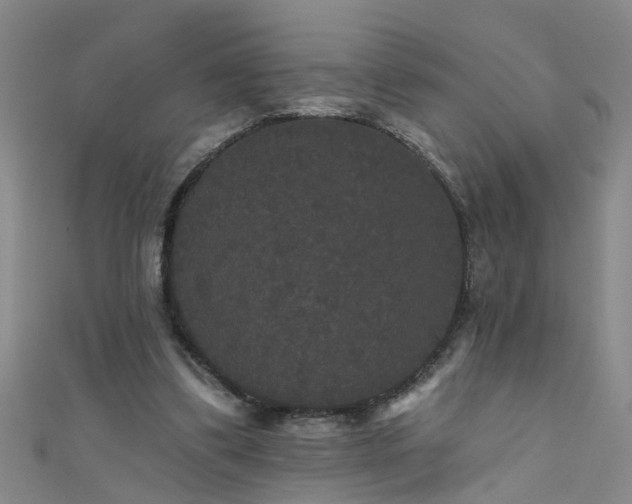 X0000111520299200907141513