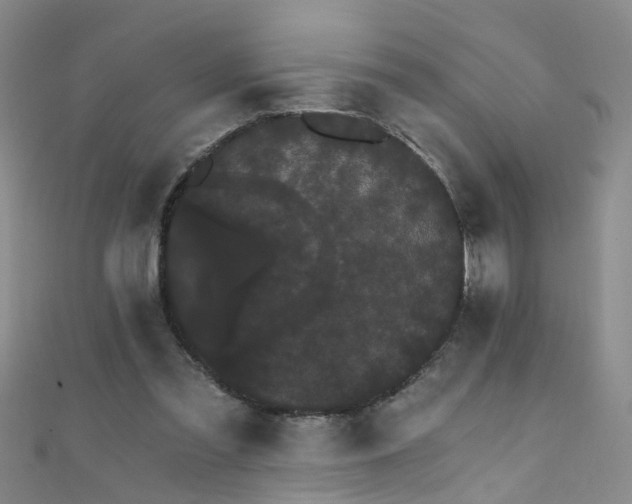 X0000111520301200907141513