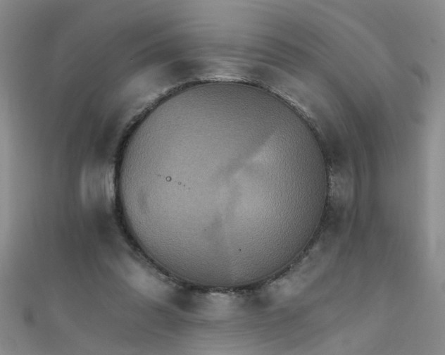 X0000111520302200907141513