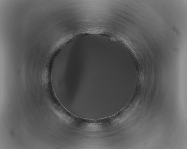 X0000111520303200907141513