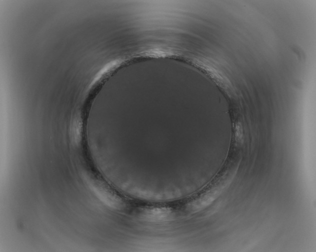 X0000111520304200907141513