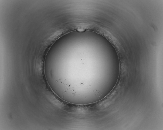 X0000111520305200907141513