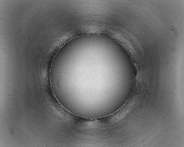 X0000111520306200907141513