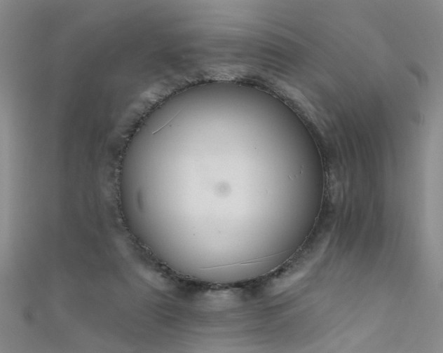 X0000111520307200907141513