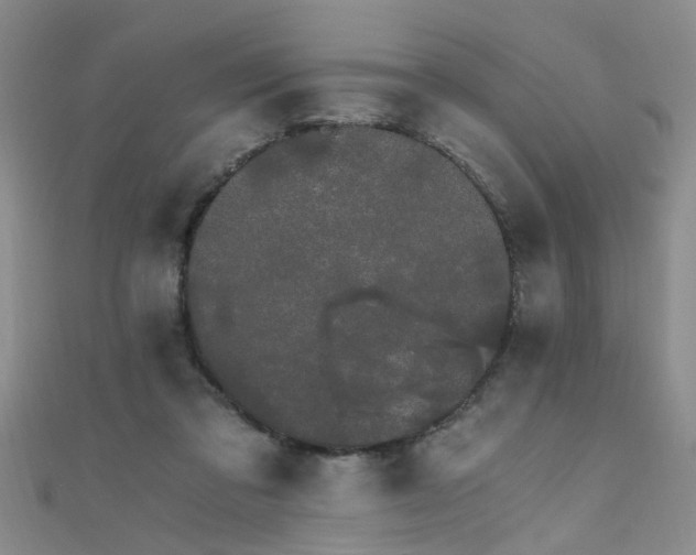 X0000111520309200907141513