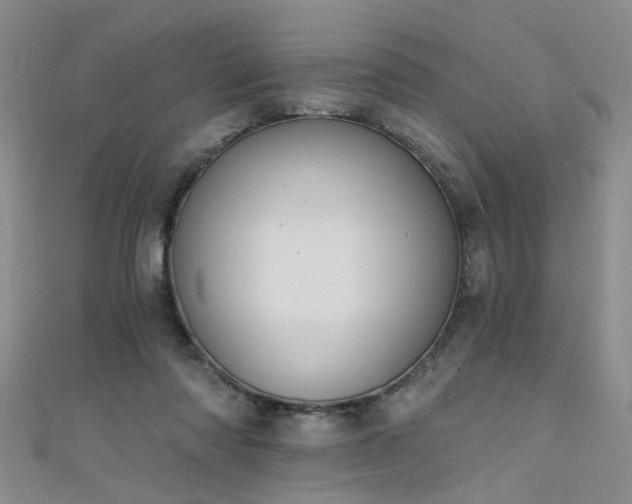 X0000111520310200907141513