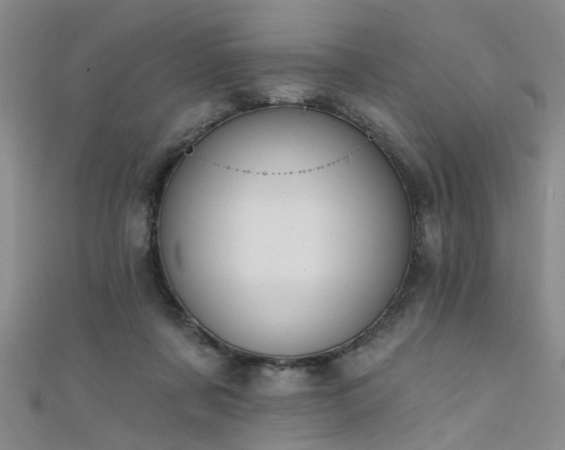 X0000111520311200907141513