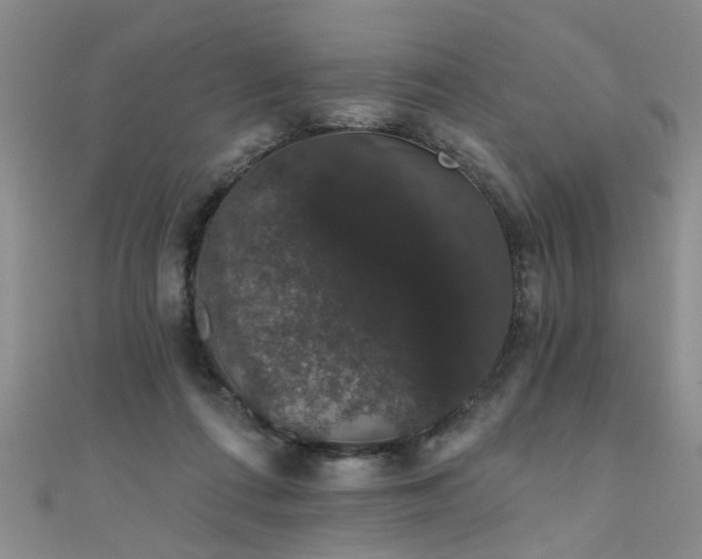 X0000111520312200907141513