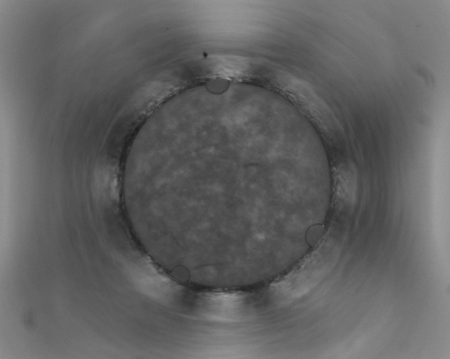X0000111520313200907141513