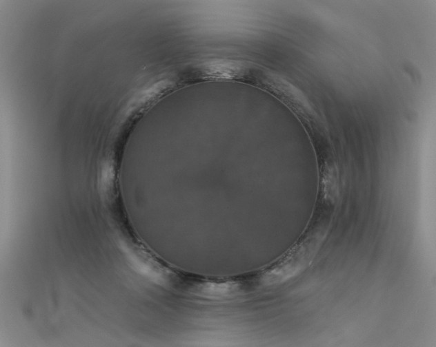 X0000111520314200907141513